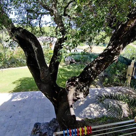 Jasmim * Алмансил